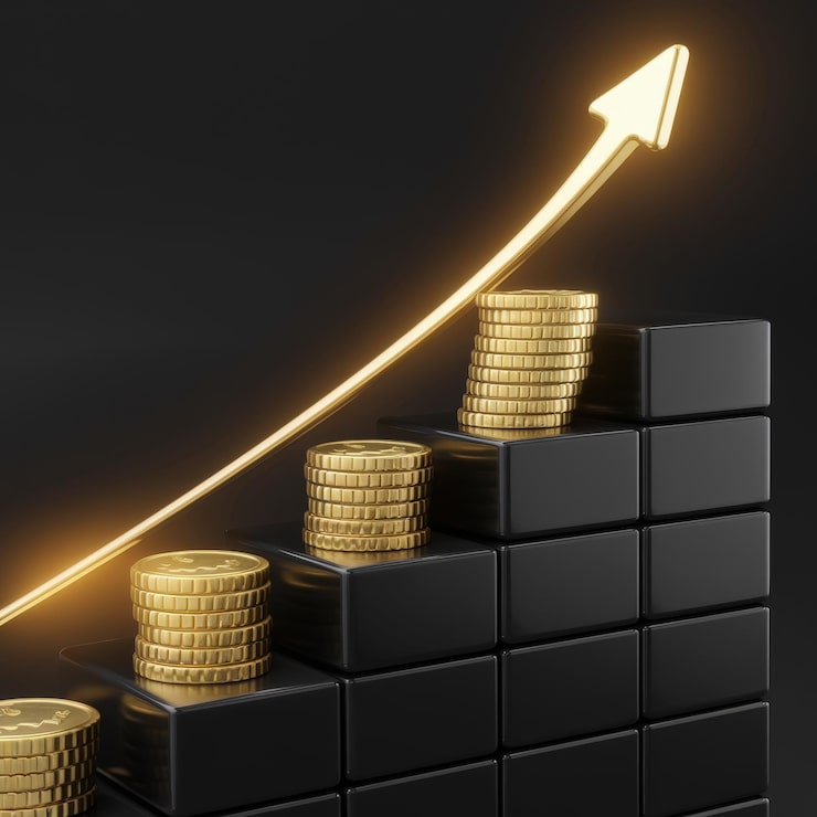 سرمایه‌گذاری اولیه بالا